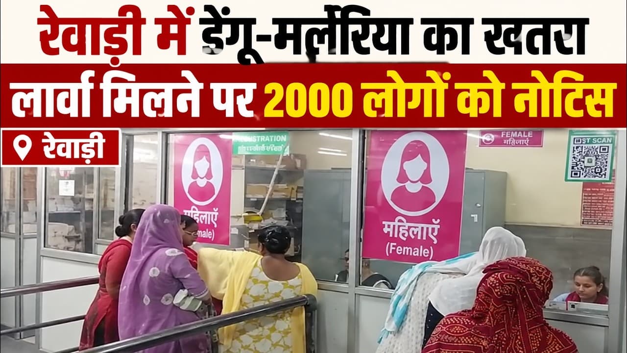 Rewari News | डेंगू-मलेरिया के बढ़े मामले | लार्वा मिलने पर 2000 लोगों को नोटिस