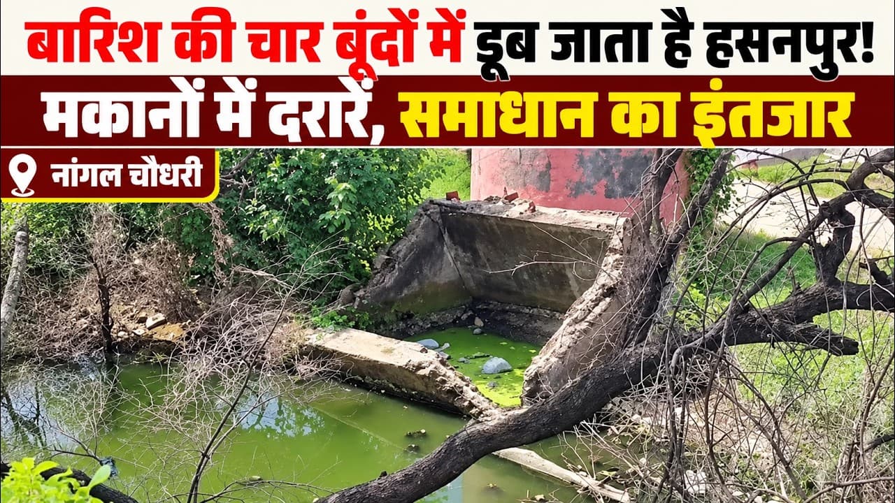 Nangal Chaudhary News | हसनपुर में जलभराव से हालात खराब | मकानों में दरारें, समाधान की मांग