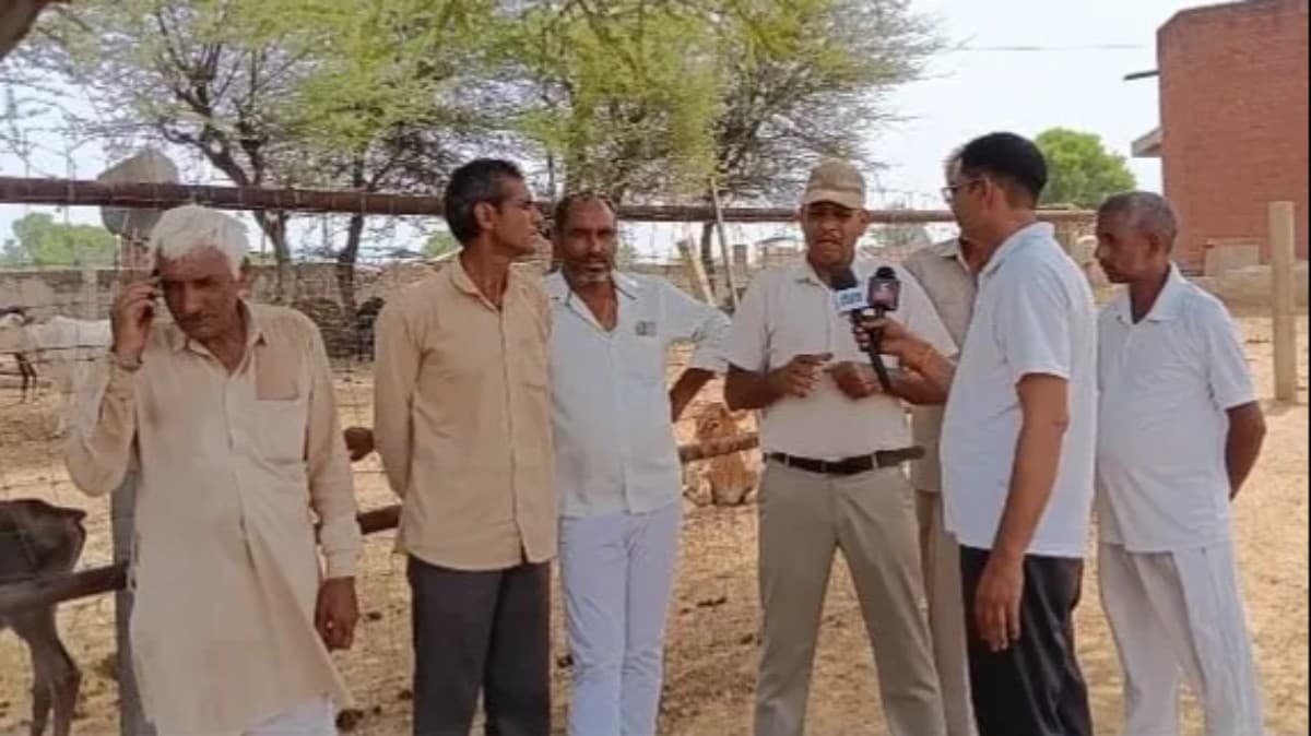 निजामपुर |सरहद के प्रहरी अब गौसेवा और पर्यावरण संरक्षण के प्रहरी: सेवानिवृत्त कैप्टन युद्धवीर सिंह यादव की अनूठी मिसाल