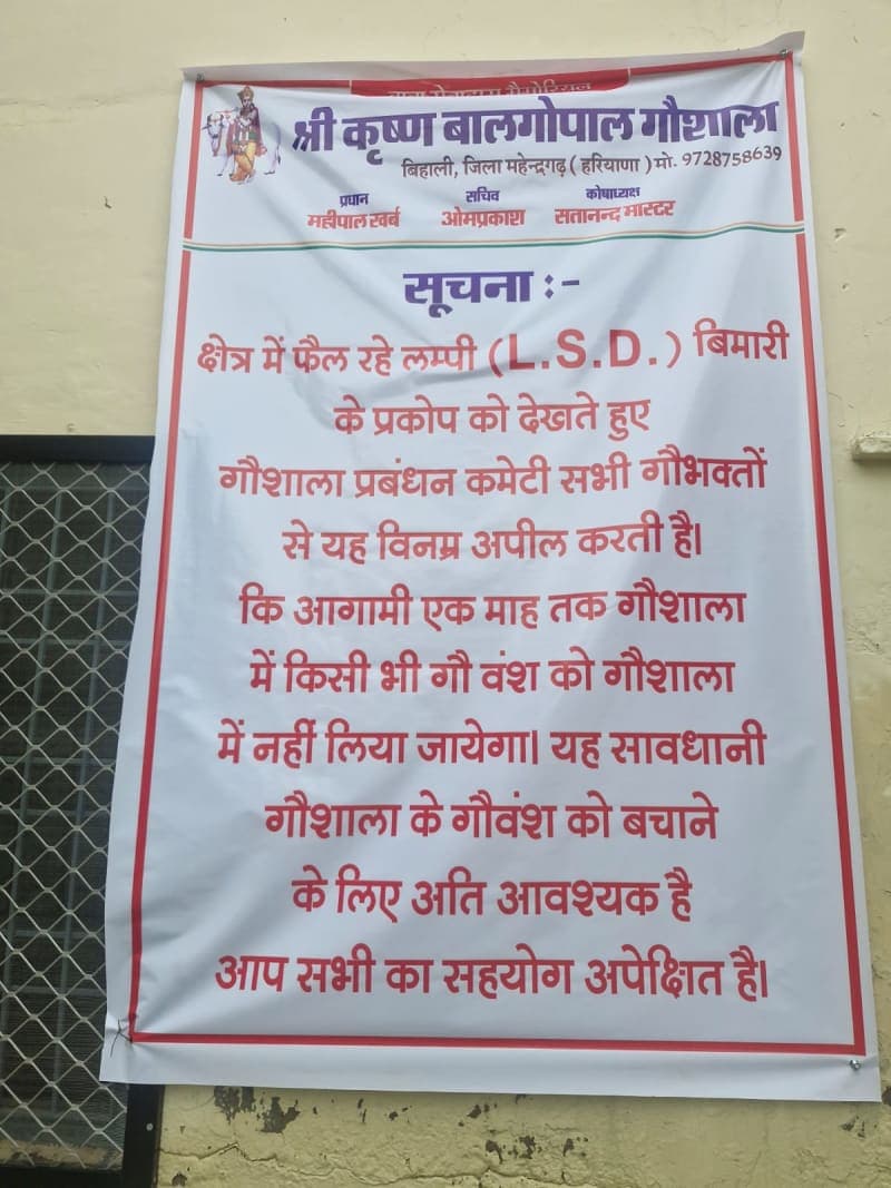 Ateli News | लंपी बीमारी को लेकर गौशाला में सतर्कता : बाहरी गौवंश के प्रवेश पर रोक | वैक्सीनेशन कराया