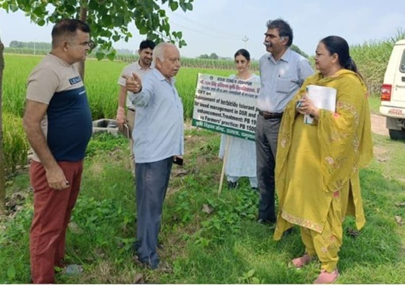 Yamunanagar News | किसानों के खेतों पर धान के परीक्षणों का निरीक्षण : उन्नत कृषि तकनीकों का लिया जायजा | लागत घटाकर आय बढ़ाने पर जोर