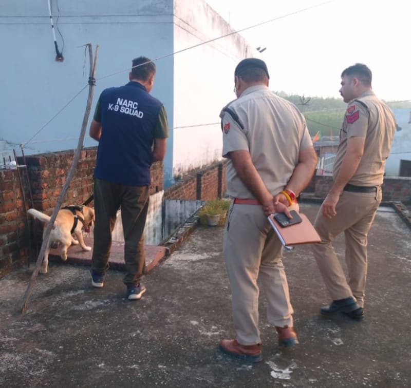 Yamunanagar News | देवधर में नशे के संभावित ठिकानों पर दबिश : नारकोटिक डॉग के साथ कंबिंग ऑपरेशन | संदिग्ध स्थानों की तलाशी