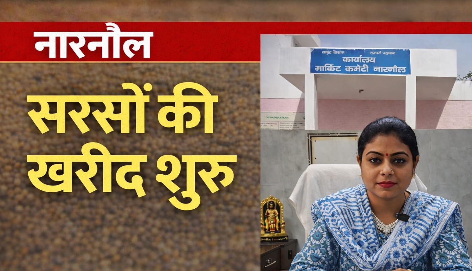 महेंद्रगढ़ में सरसों की सरकारी खरीद शुरू