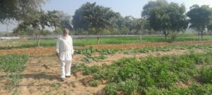 75 वर्षीय किसान ओमवीर सिंह ने अपनाई प्राकृतिक खेती