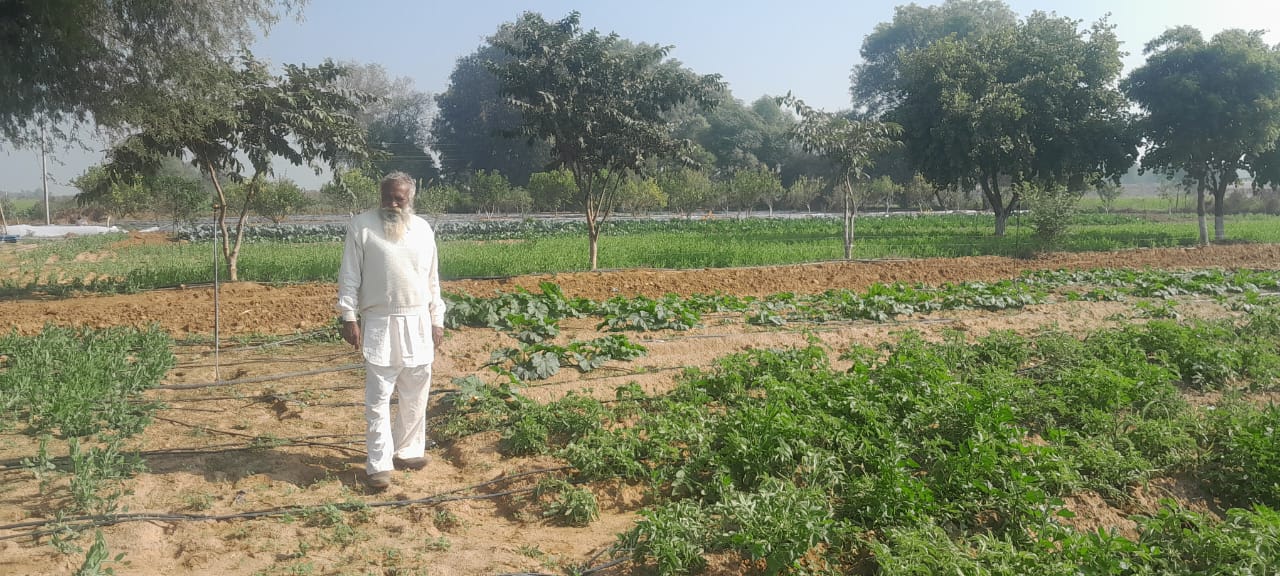 75 वर्षीय किसान ओमवीर सिंह ने अपनाई प्राकृतिक खेती