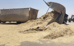 नांगल चौधरी ट्रैक्टर ट्रॉली हादसा