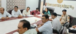 फोटो मुख्यमंत्री के साथ वीडियो कॉन्फ्रेंसिंग करतीं डीसी अनुपमा अंजली।