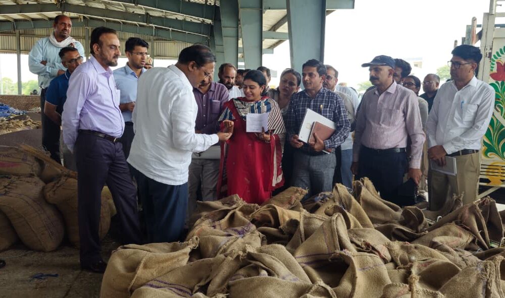 नारनौल अनाज मंडी में निरीक्षण के दौरान व्यवस्थाओं का जायजा लेते डॉ. राजा शेखर वंडरु व अन्य अधिकारी।