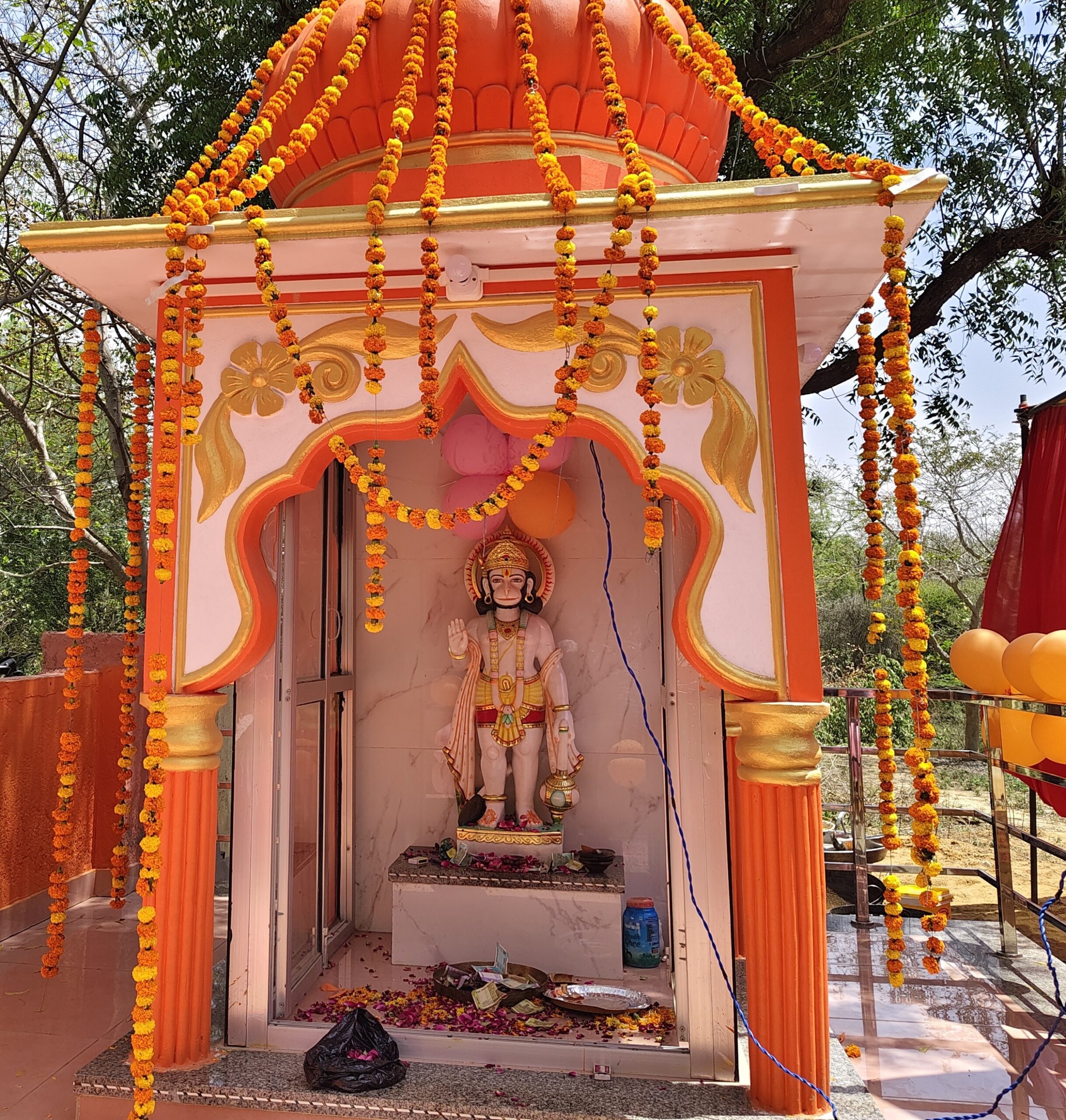 बाबा बजरंगबली जी के भव्य भंडारे का आयोजन