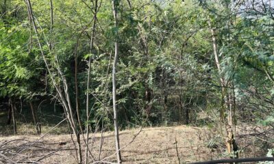 सूखे जोहड़ों से बढ़ी परेशानी, नहरी पानी की मांग