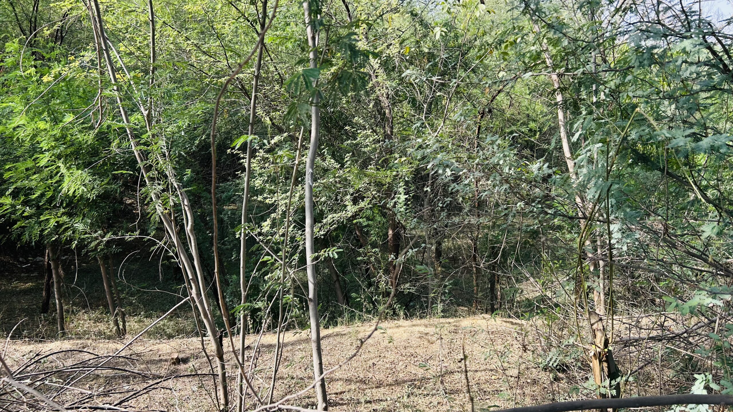 सूखे जोहड़ों से बढ़ी परेशानी, नहरी पानी की मांग