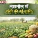 जहर मुक्त खेती का मॉडल