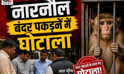 बंदर पकड़ने के अभियान में गड़बड़ी के आरोप, जांच के दौरान दृश्य