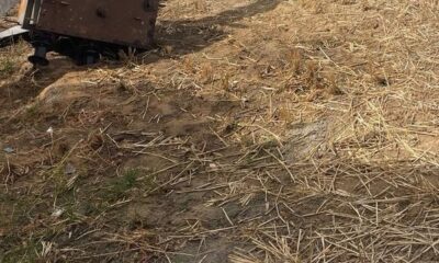 अटेली मंडी | अंधड़ से 50 गांवों की बिजली गुल, 25 पोल टूटे