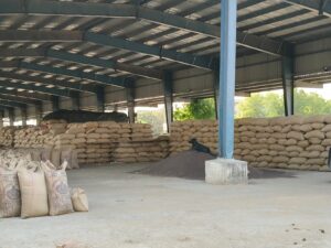 मंडी में सजी सरसों व गेहूं की बोरियां