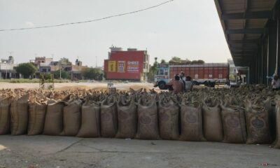 मंडी परिसर में समर्थन मूल्य पर खरीदी गई फसलों की भरी बोरियां