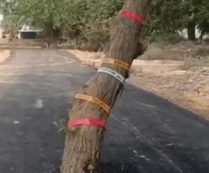 पेड़ पर लगाई गई रेडियम टेप, जिससे रात में पेड़ दिखाई दे सके।