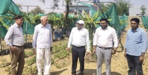 नारनौल में बागवानी विशेषज्ञों का दौरा, किसानों को दिए फलदार पौधों के रखरखाव के टिप्स
