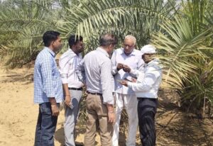 बागों का निरीक्षण करते बागवानी अधिकारी।