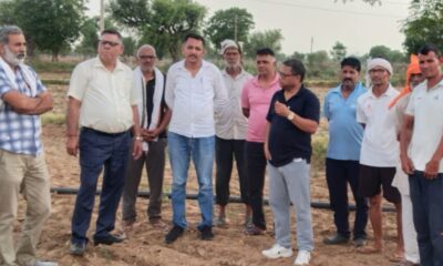 कपास की फसल का सर्वेक्षण करते कृषि विशेषज्ञ।
