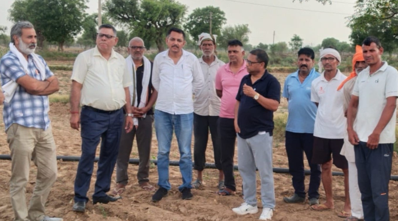 कपास की फसल का सर्वेक्षण करते कृषि विशेषज्ञ।