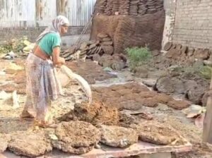 गैस महंगी होने से उपलों की बढ़ी मांग, बाजार में कीमतों में उछाल