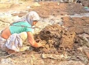 बढ़ती महंगाई के बीच उपलों के दाम पहुंचे ढाई रुपए प्रति पीस