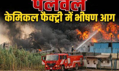 पलवल के ततारपुर-जटोला रोड स्थित केमिकल फैक्ट्री में लगी भीषण आग के बाद आसमान में उठता धुएं का गुबार।
