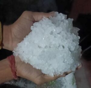 नांगल चौधरी के थानवास में गिरे हुए दिखाता किसान