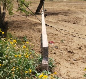 अंधड़ के बाद खेत में गिरा बिजली का पोल, सप्लाई बाधित