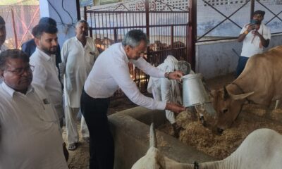 डॉ. अभय सिंह यादव की अगुवाई में हवन और गौसेवा का आयोजन