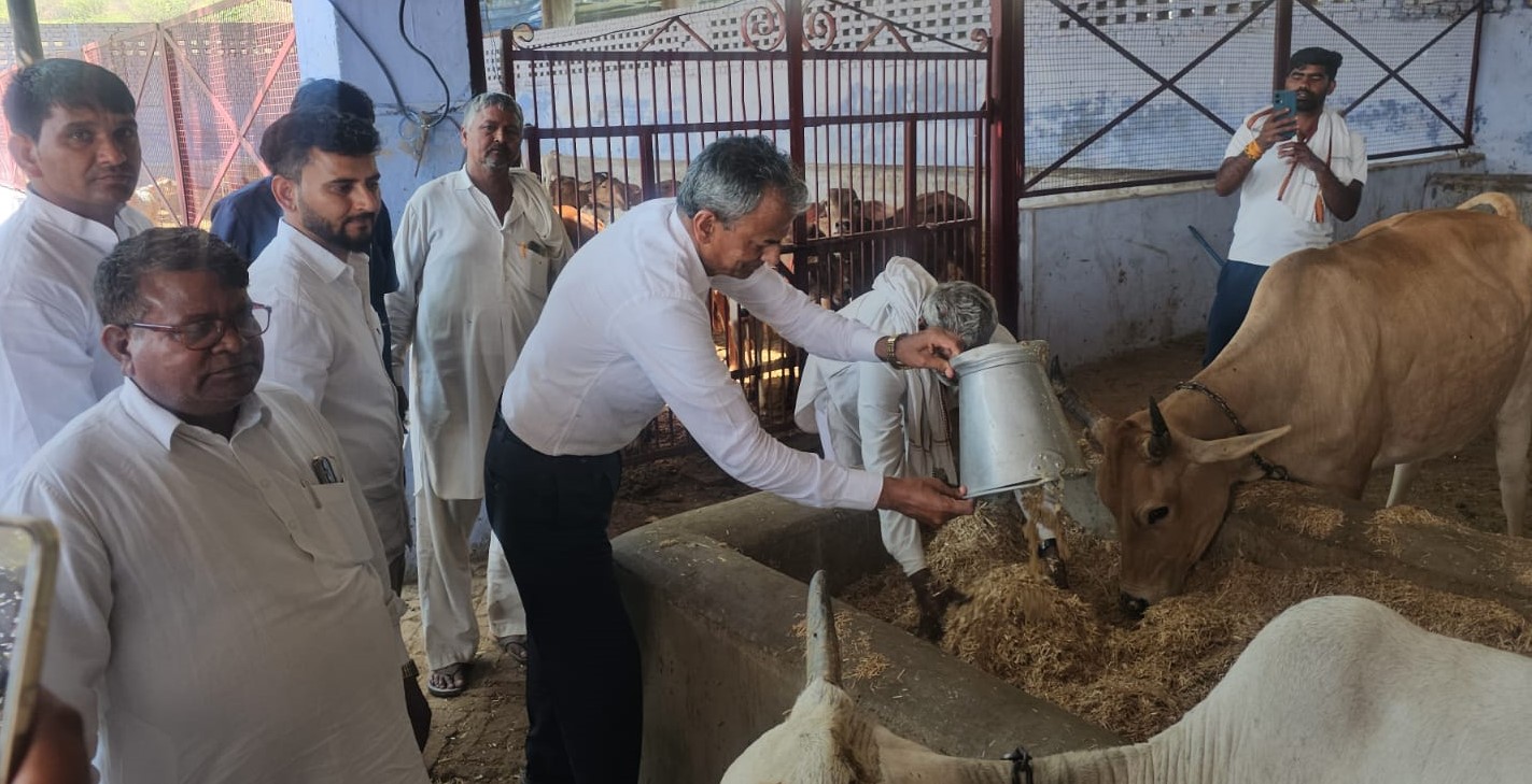 डॉ. अभय सिंह यादव की अगुवाई में हवन और गौसेवा का आयोजन