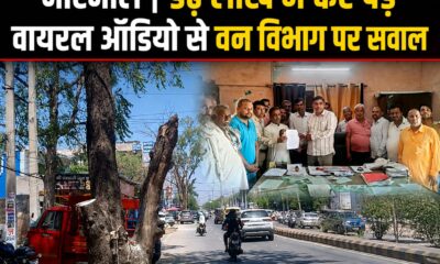 वन राजिक अधिकारी रजनीश यादव को लिखत शिकायत देते ट्रैक्टर चालक और आरा मशीन संचालक