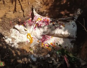 शिव मंदिर के सामने पूरे विधि-विधान से नंदी का अंतिम संस्कार