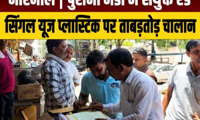 पुरानी अनाज मंडी नारनौल में सिंगल यूज प्लास्टिक और अतिक्रमण के खिलाफ कार्रवाई करती नगर परिषद व प्रदूषण विभाग की संयुक्त टीम।
