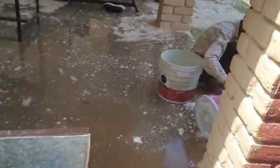 सतनाली के सरकारी स्कूल में बच्चों से सफाई करवाने का वीडियो वायरल, फर्श धोते दिखे छात्र।