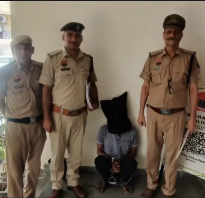 टोहाना पुलिस द्वारा गिरफ्तार किया गया भिवानी निवासी आरोपी विकास, जिस पर चोरी के कई मामले दर्ज हैं।