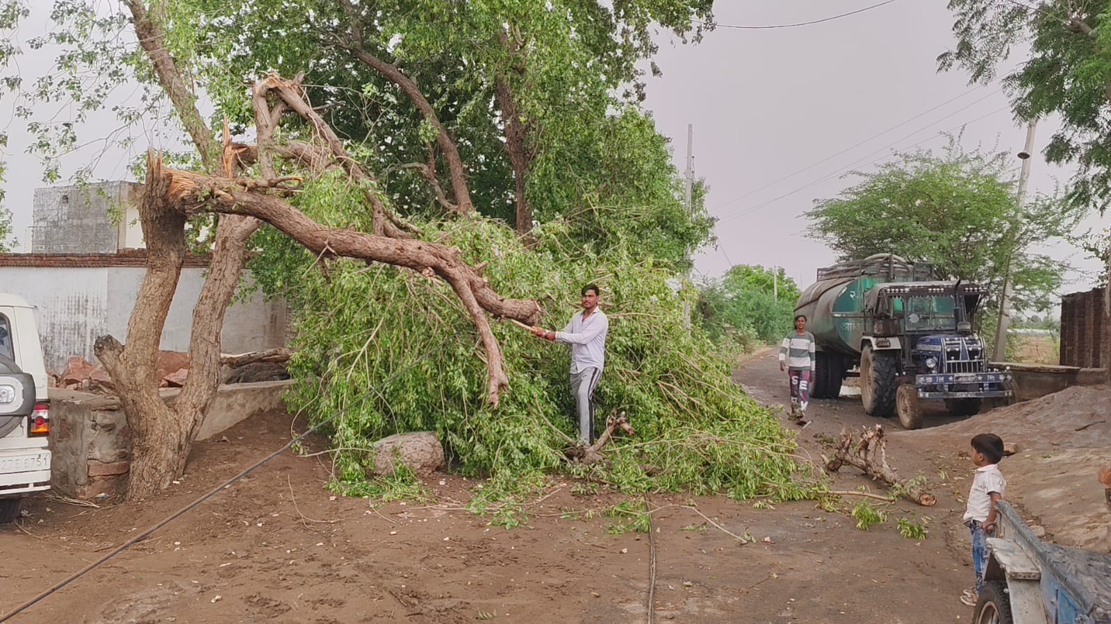 तेज तूफान और आंधी से क्षतिग्रस्त पेड़