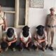 भूना पुलिस द्वारा गिरफ्तार किए गए आरोपी बलजीत सिंह व उसके बेटे सुरेंद्र और माेनू