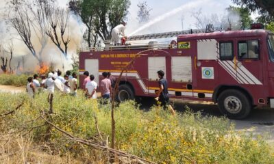 बिहाली गांव की हरिजन बस्ती में लगी आग को बुझाते दमकल विभाग के कर्मचारी।