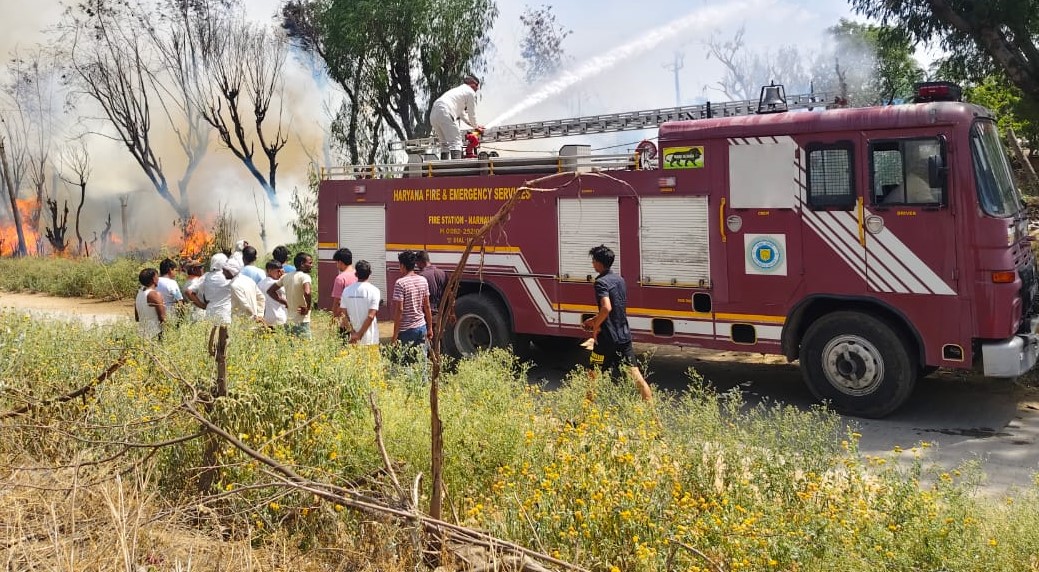 बिहाली गांव की हरिजन बस्ती में लगी आग को बुझाते दमकल विभाग के कर्मचारी।