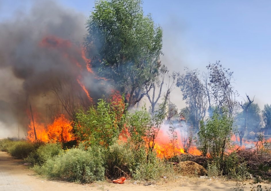 बिहाली की हरिजन बस्ती में भीषण आग, एक दर्जन से अधिक परिवारों का ईंधन जलकर राख