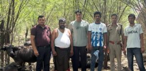 नूंह पुलिस के गौवंश संरक्षण अभियान के तहत गांव में पशुओं का निरीक्षण करते पुलिस अधिकारी एवं कर्मचारी।