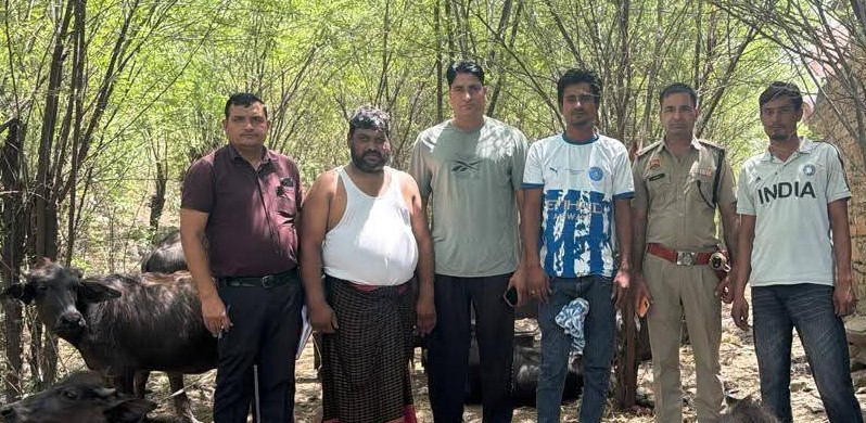 नूंह पुलिस के गौवंश संरक्षण अभियान के तहत गांव में पशुओं का निरीक्षण करते पुलिस अधिकारी एवं कर्मचारी।