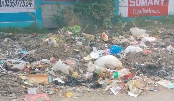करोड़ों के सफाई ठेके के बावजूद नारनौल की सड़कों पर पसरी गंदगी।