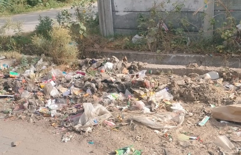 नारनौल के मेहता चौक क्षेत्र में सड़क किनारे लगा कूड़े का ढेर, बदबू से परेशान लोग।