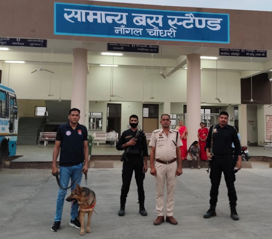 नांगल चौधरी में कमांडो और डॉग स्क्वॉड के साथ पुलिस का सघन चेकिंग अभियान