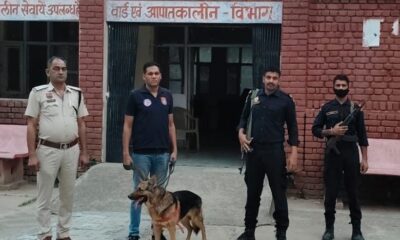 नांगल चौधरी में कमांडो टीम और डॉग स्क्वॉड के साथ चेकिंग अभियान चलाती पुलिस।
