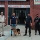 नांगल चौधरी में कमांडो टीम और डॉग स्क्वॉड के साथ चेकिंग अभियान चलाती पुलिस।