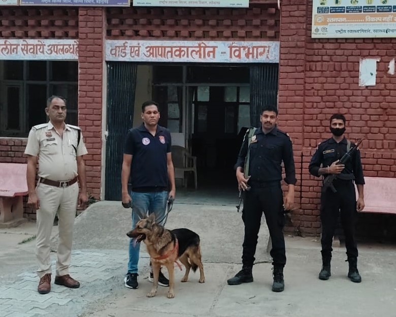 नांगल चौधरी में कमांडो टीम और डॉग स्क्वॉड के साथ चेकिंग अभियान चलाती पुलिस।